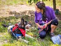 Adoptuj Warszawiaka  Wydarzenie promujące adopcję zwierząt. Organizator: Schronisko dla Bezdomnych Zwierząt "Na Paluchu". 18 sierpnia 2019, Park Raszyński w Raszynie. : park raszyński, adoptuj warszawiaka, na paluchu, schronisko dla zwierząt, centrum warszawy, raszyn